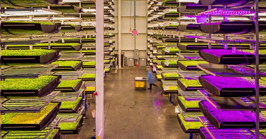 Warehouse of vertical farming AeroHouse HQ in New Jersey