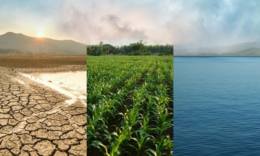 Accenture, Cervest partner on AI climate information and risk platform