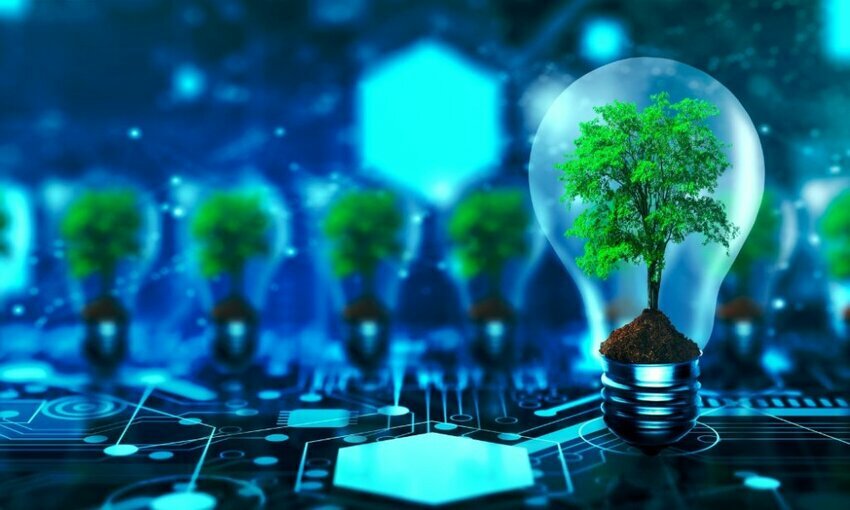 A tree growing inside a light bulb on a circuit board. This represents green technology and innovative ideas.