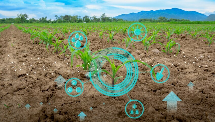 Decorative image is transposed over crops with dirt and plants.