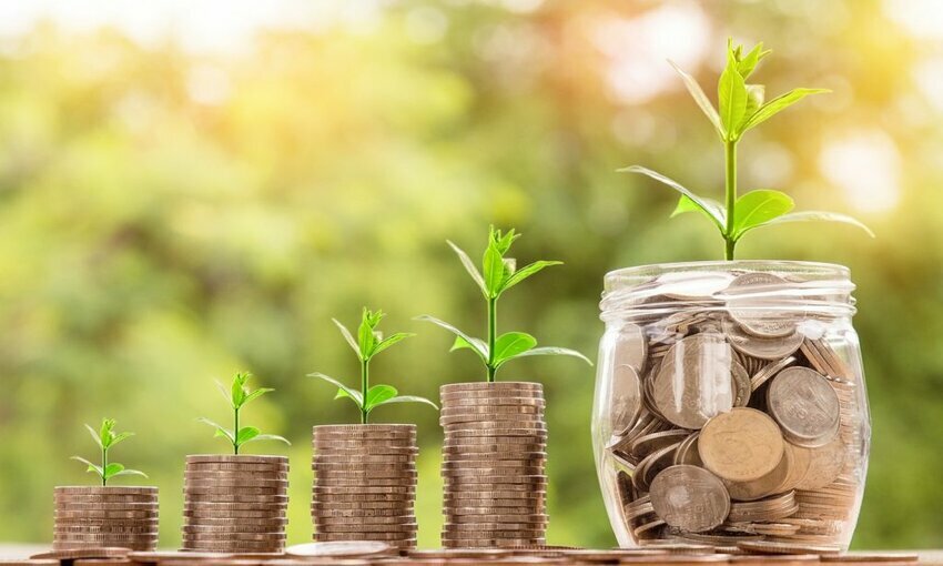 Green plants growing on stacked coins