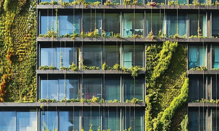 outside of a glass building covered with vines