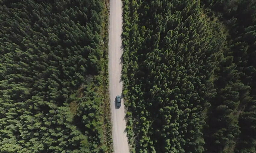 car driving on a road surrounded by trees