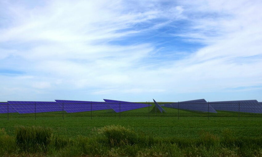 RBC Becomes First Canadian Bank to Sign Renewable Energy Deal