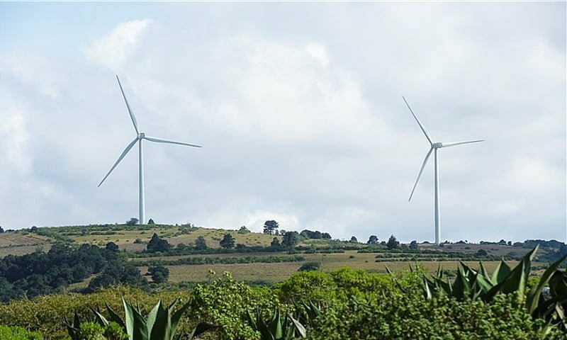 Bayer Signs PPA for Wind Power in Mexico