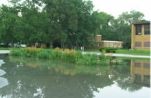 Wetlands near building