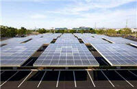 solargrove2.jpg