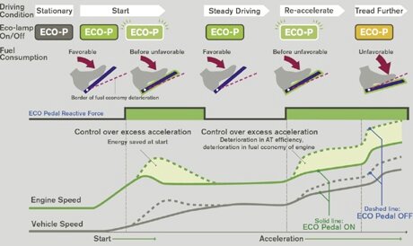 ecopedalbig.jpg