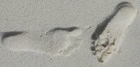 footprints.jpg