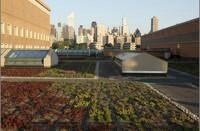 con_ed_green_roof.jpg