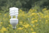 light_bulb.jpg