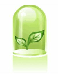 green_idea.jpg