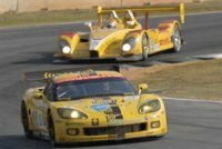 american_le_mans_series.jpg