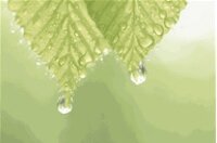 green_leaves.jpg
