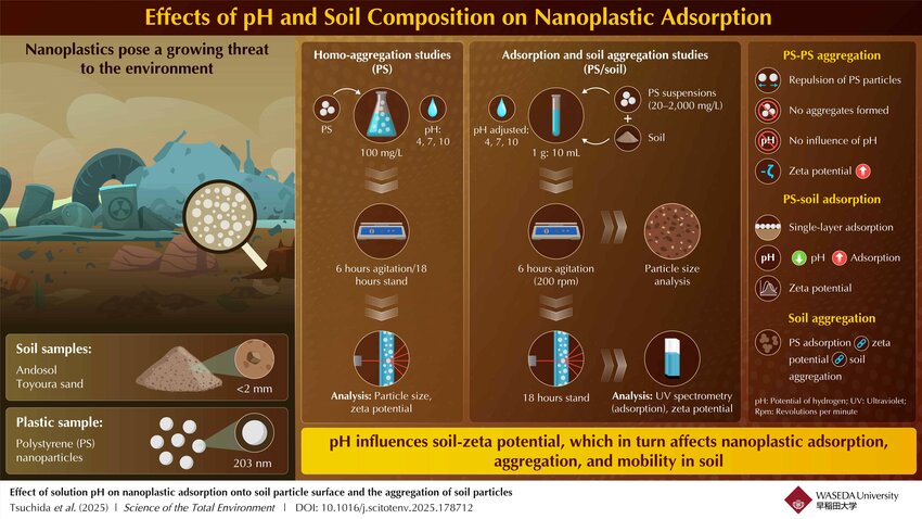 Researchers investigate the effect of soil pH and surface properties on the adsorption and aggregation behavior of plastic nanoparticles.