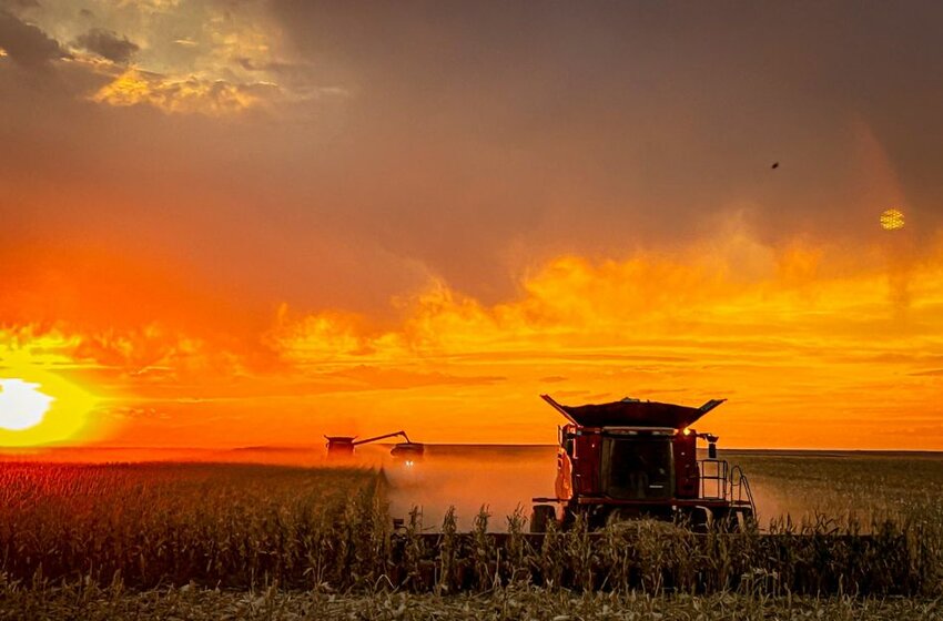 Colorado Department of Agriculture's Best in Show Photo Contest - Crops Category