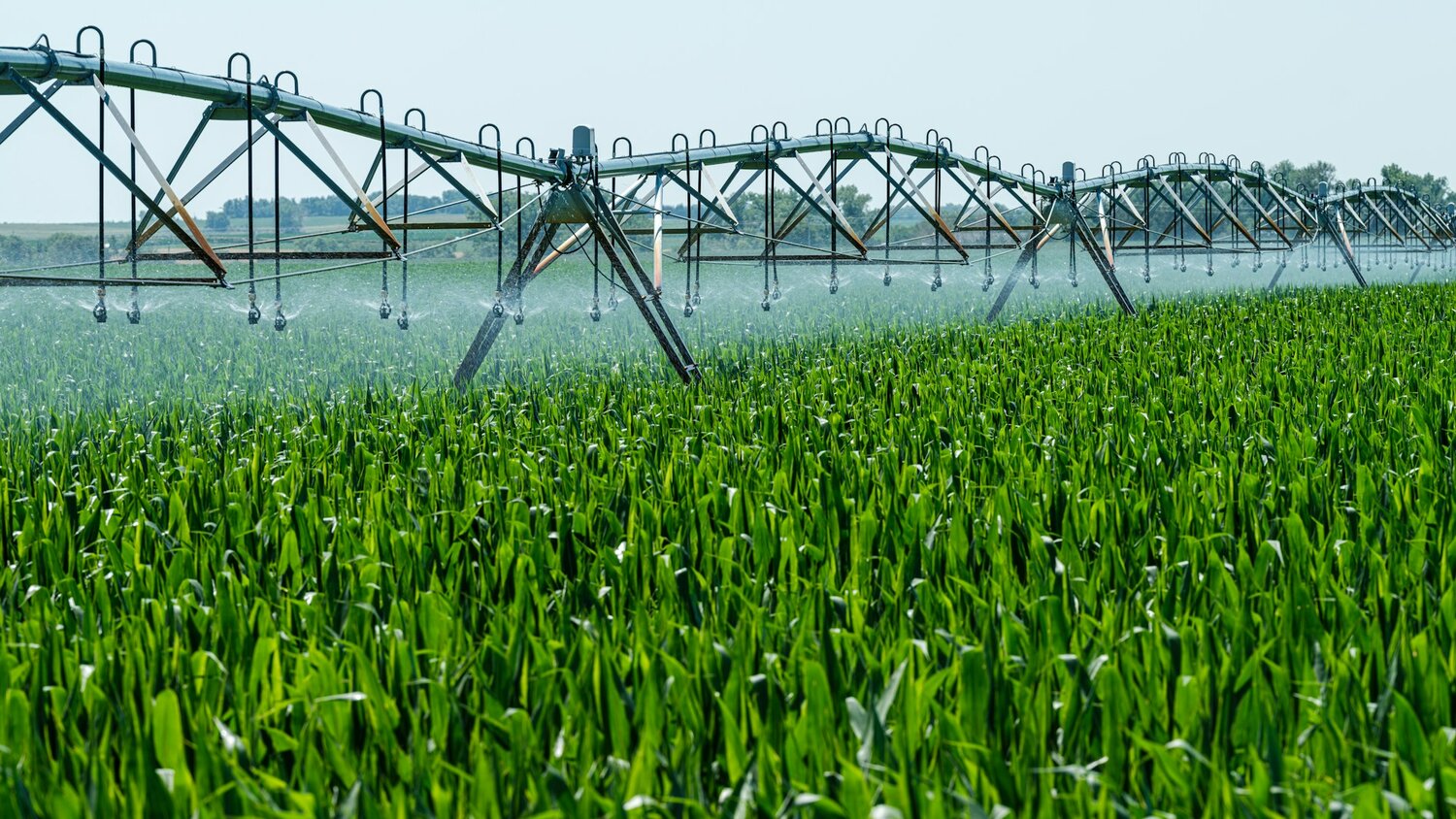 Water Risk Is Rising Across Agricultural Supply Chains