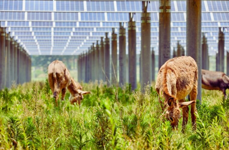 SEIA Map: Solar Uses 0.07% of U.S. Farmland, Data Shows