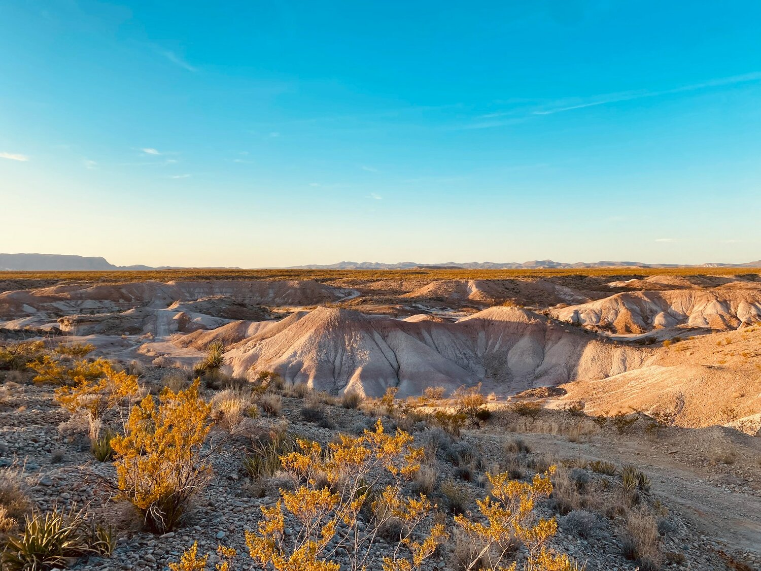 Meta Solar Deal Expands Sabanci's Texas Solar Pipeline Plans
