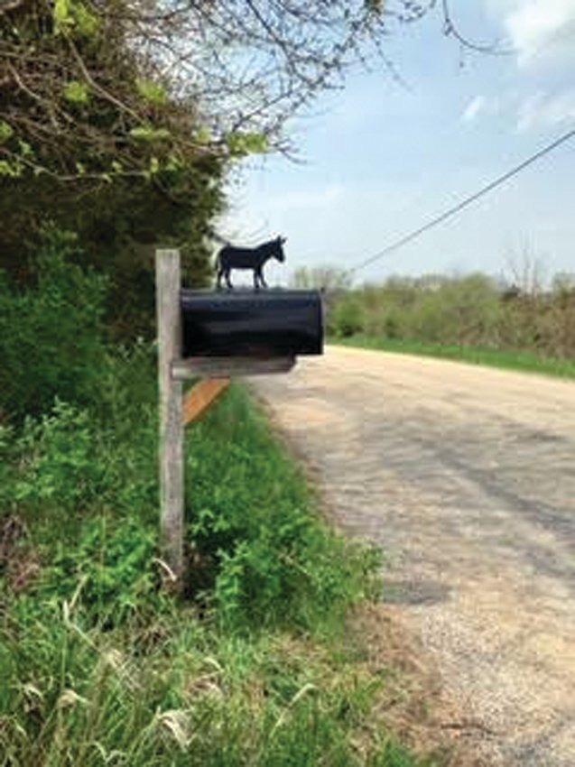 The Dosers replaced the old, worn down mailbox, with a surprise on top.