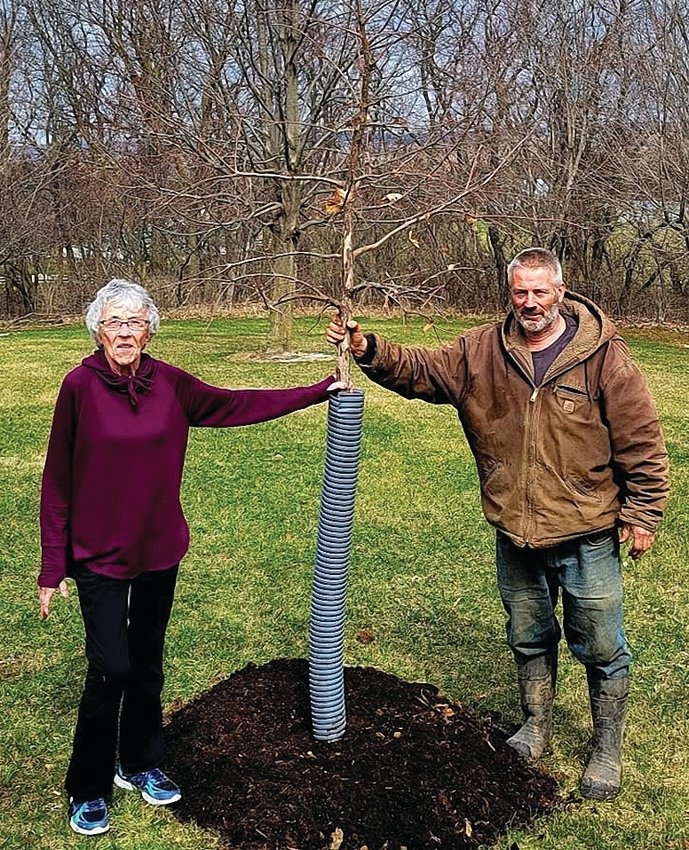 Helen Kilgore, charter member of the Apple River Fort Foundation, and Terry Redfearn of Redfearn Tree Service, plant the Robert Lopp Memorial Tree at Apple River Fort. The tree is a white oak, the state tree of Illinois, and was planted in memory of Lopp who was a dedicated volunteer at Apple River Fort for many years.