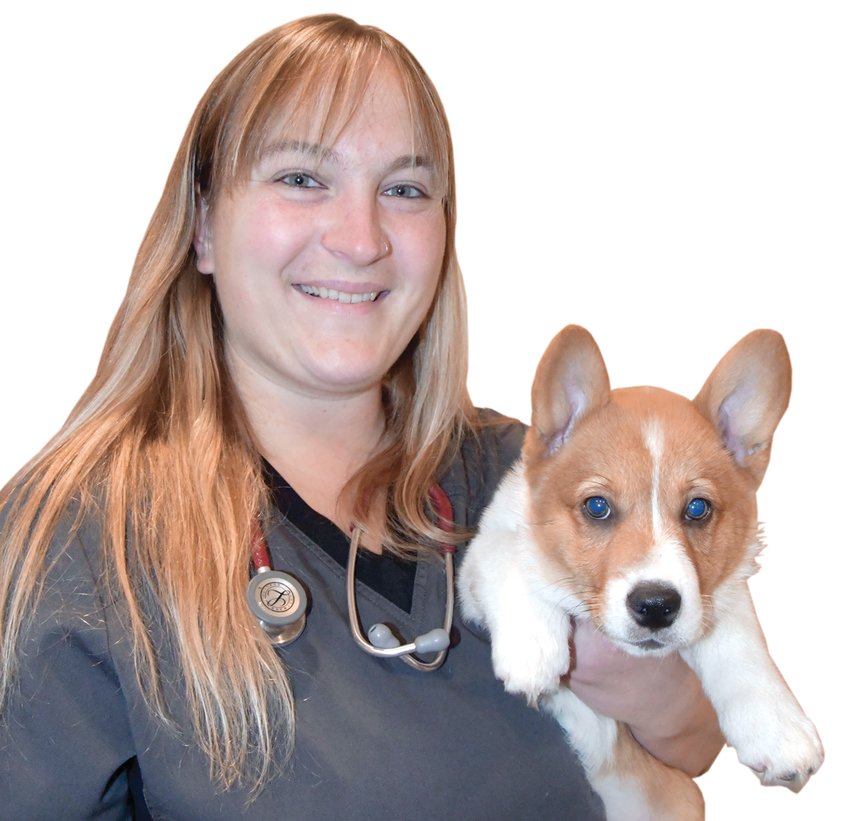 New DVM Dr. Katelyn Oftedal job-shadowed for years at Veterinary Associates.