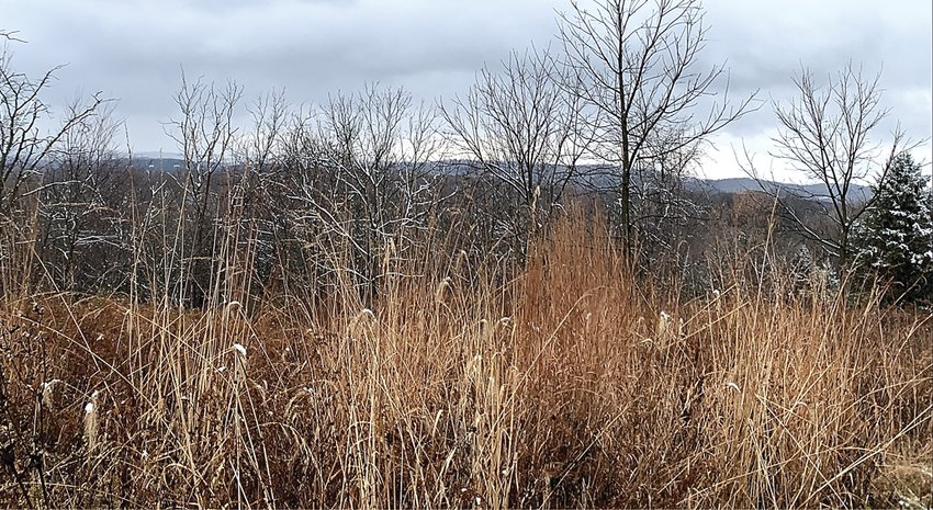 Prairie ready for its winter&rsquo;s rest on the Strenskis&rsquo; land.