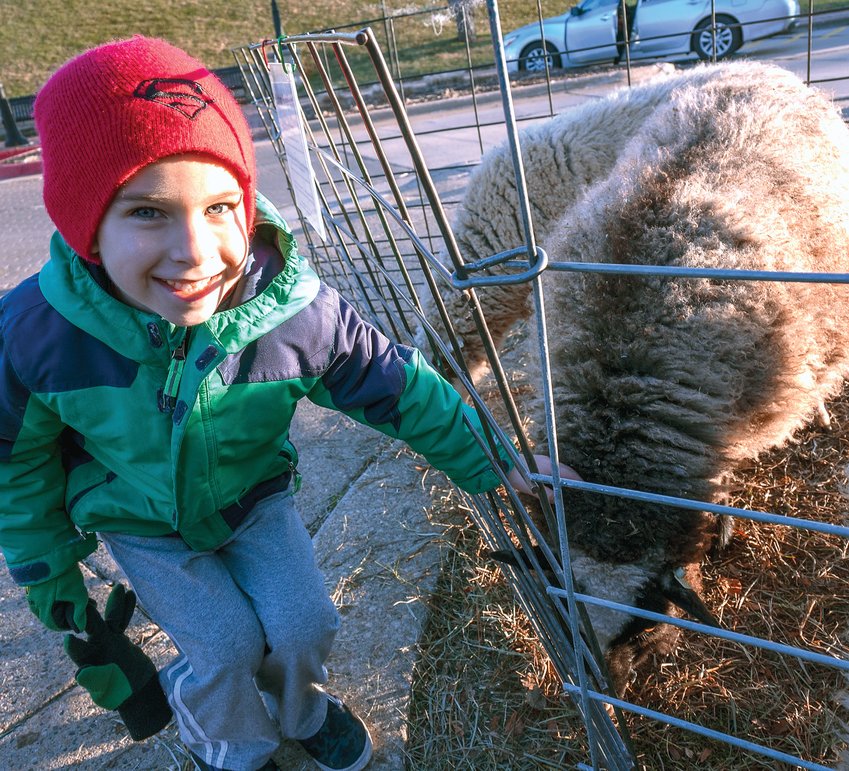 Michael Peters visited a sheep that was a part of the petting zoo at the festival.