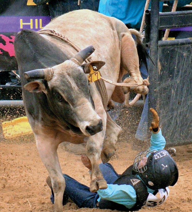 Levi riding Honcho, the biggest bull to cover.