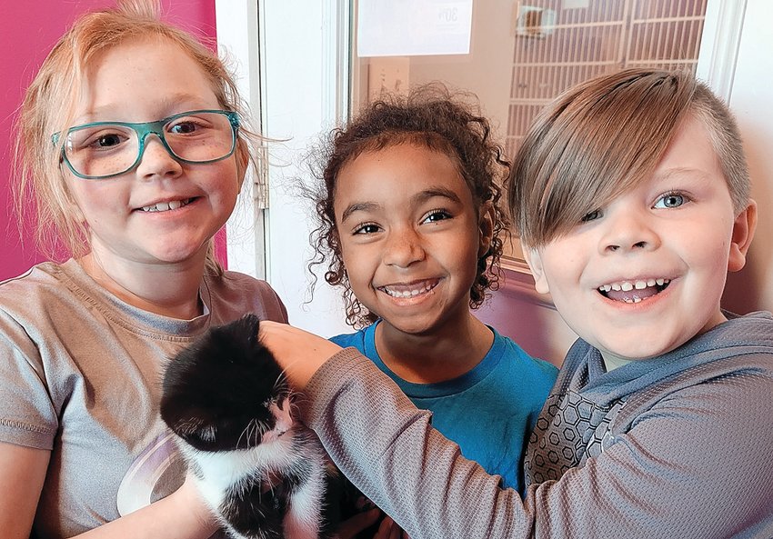 From left, Alice Rogers, Bria Jost and Ian Meyer can&rsquo;t get enough of this cat at Safe Haven. On Feb. 10, Scales Mound first graders visited Safe Haven. They had held a fundraiser for Safe Haven and raised $150. First-grade teacher Lori Davis presented the check to shelter manager Jeannette Thraen. Students then visited the cats, kittens and puppies. They also made cat toys which they could take home or donate to cats at Safe Haven.