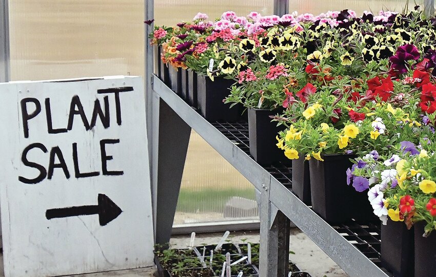River Ridge prepares for their plant sales with signs and fresh flowers in their greenhouse!