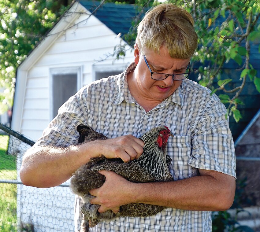 Joel Zink holds one of his 11 chickens, Miss Peepers. Zink has been raising chickens for over five decades. Below: Zink owns many different breeds of chickens at his family home in Warren.