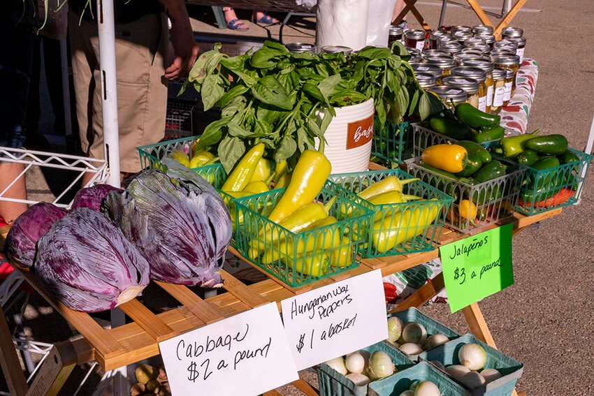 With the height of the produce season upon us, many farm stands at the Galena Farmers Market displayed a variety of vegetables, herbs, onions and peppers.