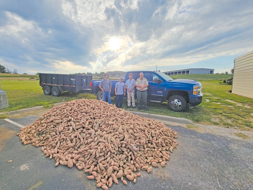 The Boone County Sheriff’s Office was invited this year to the BB Mathews sweet potato farm, located in Wynne,  to participate in the harvest of over 7,000 pounds of fresh sweet potatoes at no cost. These sweet potatoes will be served in meals to the inmates of the Boone County Jail. Jeff Davis loaned his trailer to the Sheriff’s Department and Davis GMC provided a truck for the trip. 


