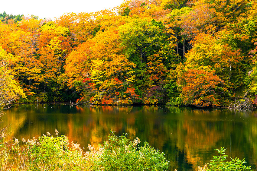 Lake pond in autumn fall season