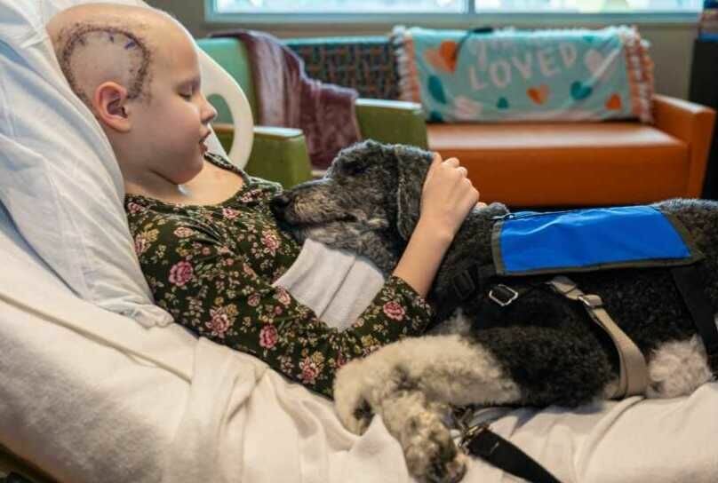 Lucy visits with Tatum in her bed at Arkansas Children's Hospital. Tatum is delighted to have the company of the comforting dog, one of many who visit with patients, their families, and staff of the hospital through a special program. CONTRIBUTED PHOTO