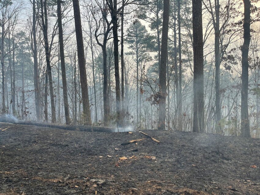 Ozark National Forest conducting prescribed burns as spring lurks around the corner. The burns promote health in the forest and on other lands as well. JEFF BRASEL / STAFF