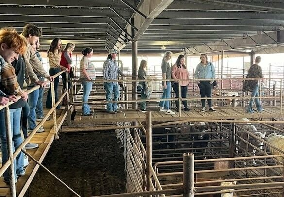 Local future leaders tour a sale barn while learning about agricultural business. CONTRIBUTED PHOTO