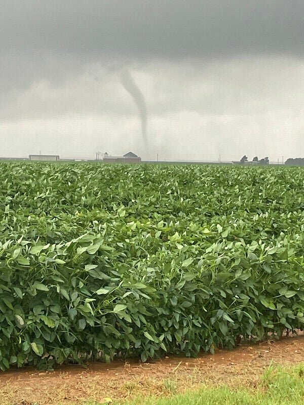 Tornadoes were reported in several areas of Arkansas on July 8, including this twister, photographed in Lafayette County. (Image courtesy Jerri Dew.)