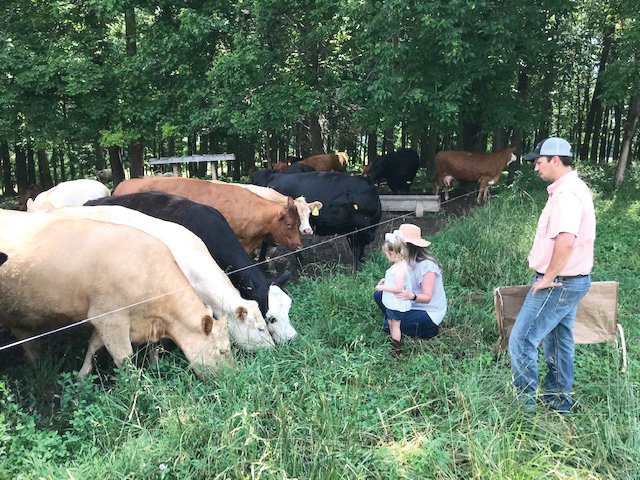 Keeping watch

The Cowell family concentrate on making sure all aspects of the ranch are at peak performance. Marketing limited amounts of beef to specific markets takes just in time planning to raise, process and deliver their product to their customers when they want it.