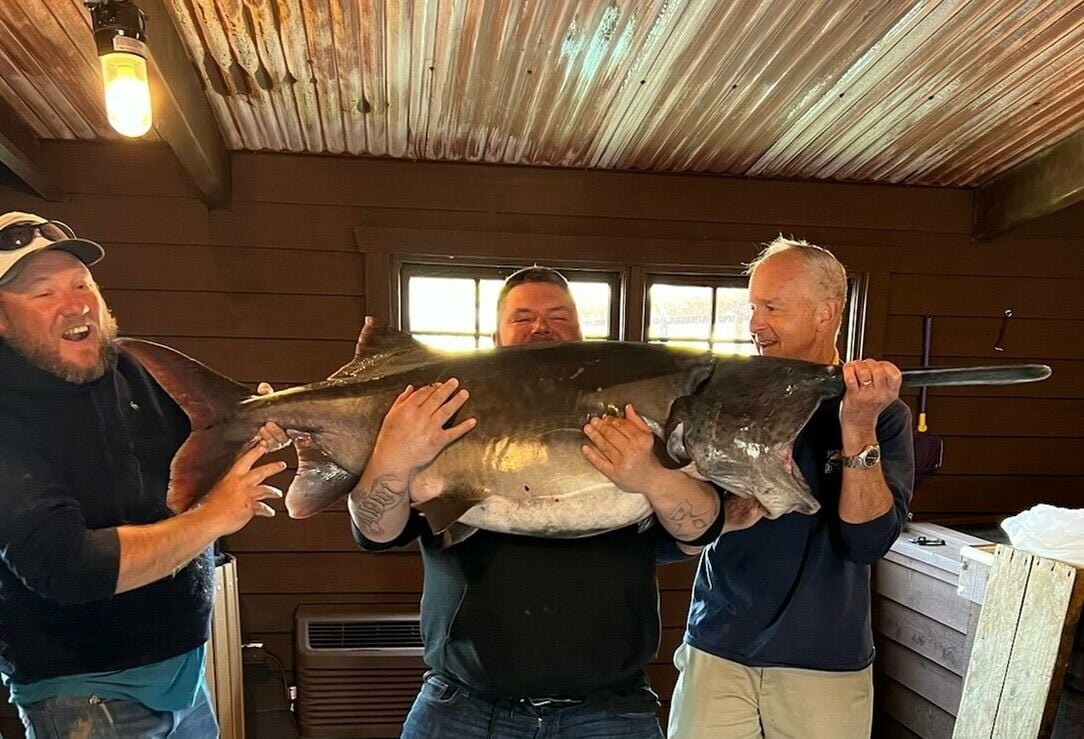 Aaron Hodge, owner of Catch Mo Fish Guide Service (left) and his clients were pleasantly surprised when this SpoonBill weighed 100 pounds. CONTRIBUTED PHOTO