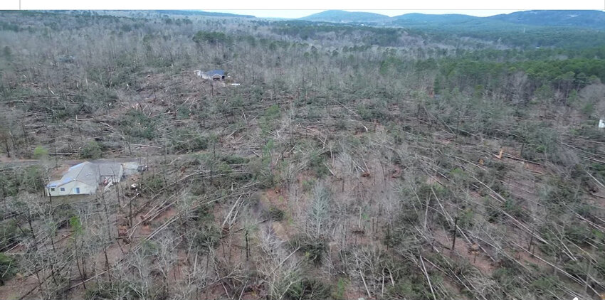 The March 14 tornado in Hot Springs Village destroyed hundreds of acres of timber.