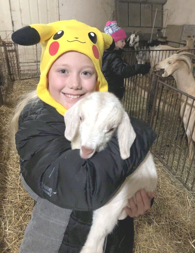 Brad&rsquo;s eight-year-old granddaughter, Alexis Young, enjoys snuggling a young goat.