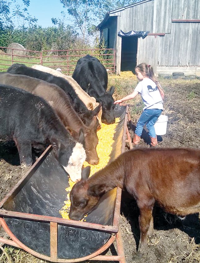 Above, Kinzley Carlock helps feed calves on her family&rsquo;s farm. Carlock Livestock received their meat brokers license earlier this year and is now able to sell meat by the cut.They hope to offer fresh produce in the future.