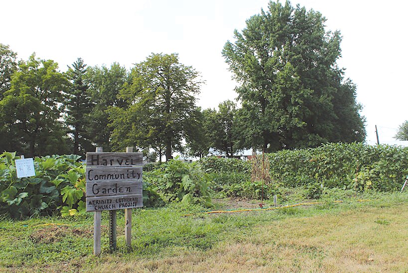 This summer marks the fourth season for the Harvel Community Garden (pictured above). Spearheaded by Trinity Lutheran Church, community members meet weekly on Wednesday evenings to tend to the garden.