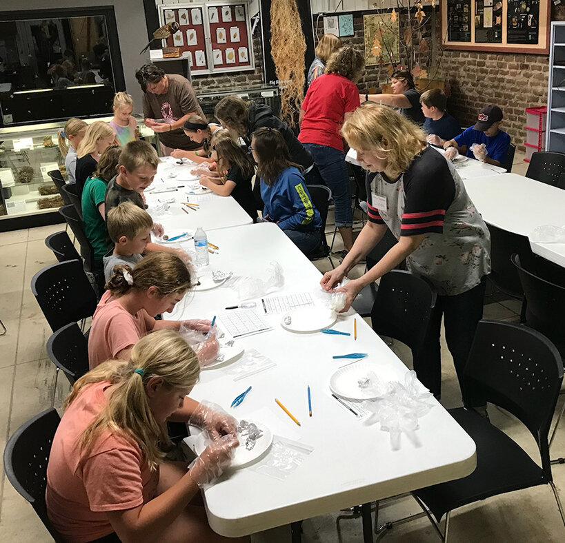Members of the Wild Roots 4-H Club work on dissecting owl pellets during their monthly meeting at Bremer Sanctuary in Hillsboro on Tuesday, Oct. 3.