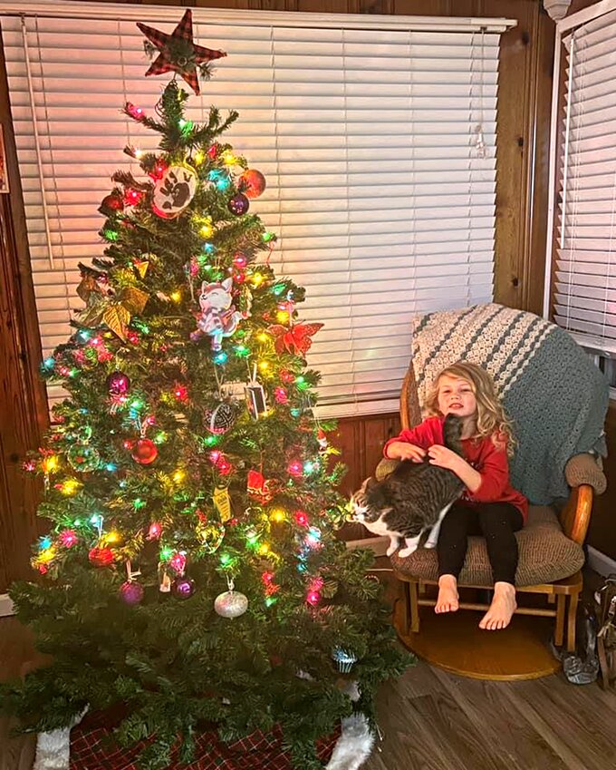 Tori Sisson and her family tree, pictured above, were the first place winners of Litchfield&rsquo;s second annual virtual Christmas Tree Decorating Contest.