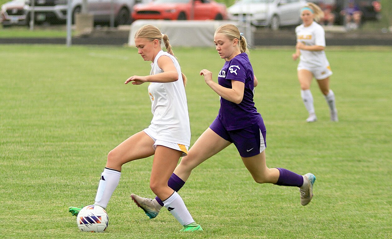 Litchfield Soccer Returns To Sectional Championship - The Journal-News