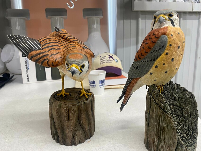 These wooden kestrels display the differences between female and male kestrels. The female Kestrel is displayed on the left and the male kestrel is on the right.