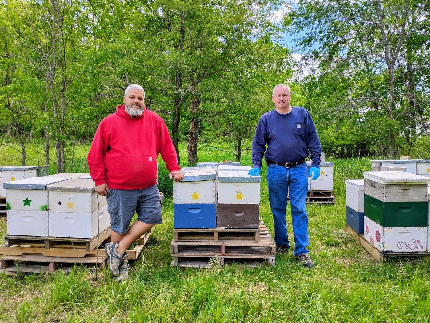 Honey for the soul - The News
